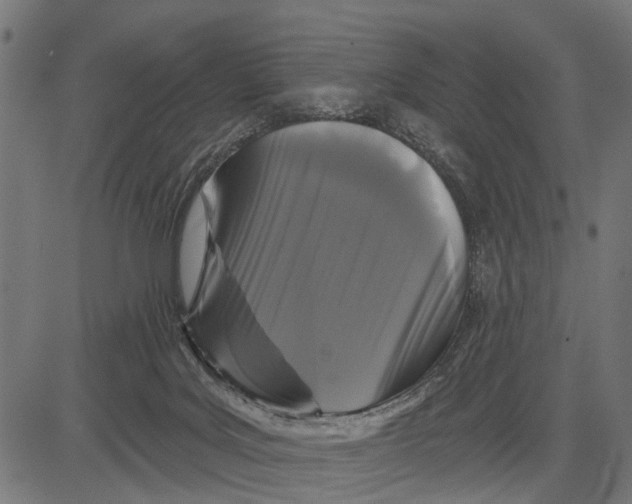 X0000081460027200702021818