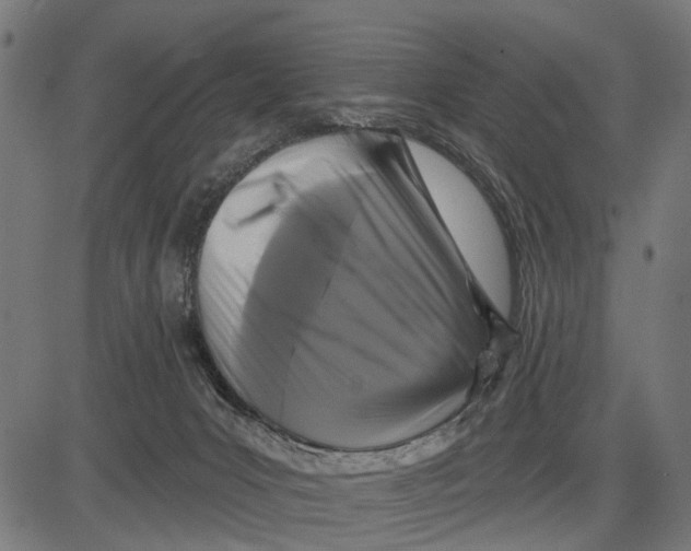 X0000081460031200702021818