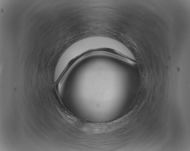 X0000081460033200702021818