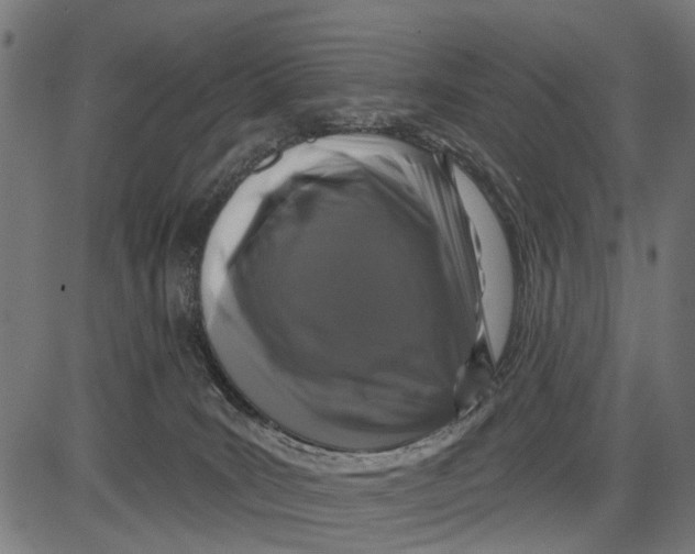 X0000081460035200702021818