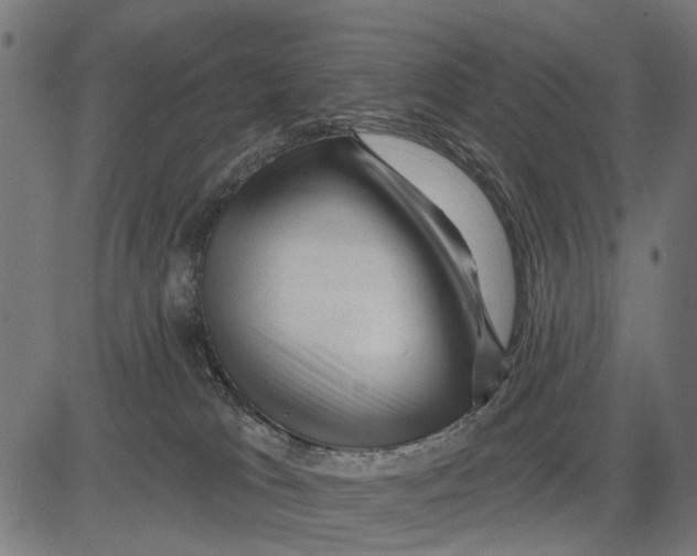 X0000081460037200702021818