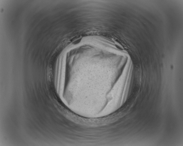 X0000081460038200702021818