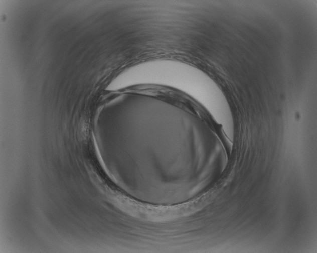 X0000081460039200702021818
