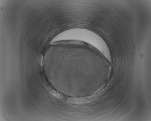X0000081460041200702021818