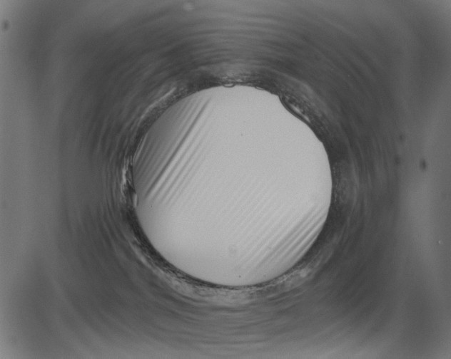 X0000081460044200702021818
