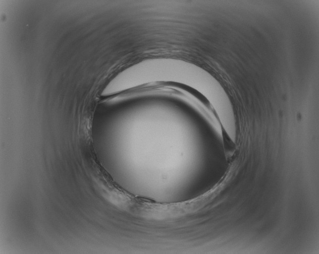 X0000081460045200702021818