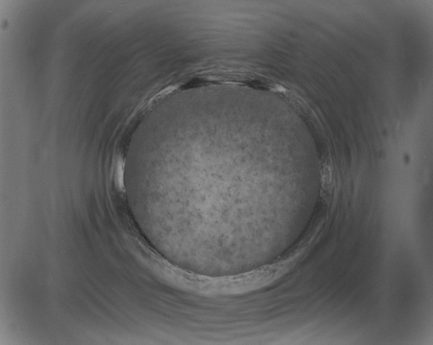 X0000081460046200702021818