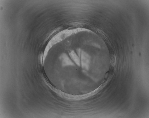 X0000081460047200702021818