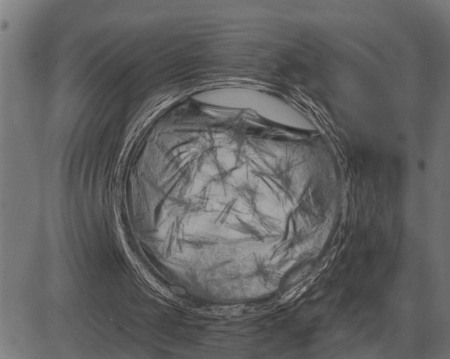 X0000081460049200702021817
