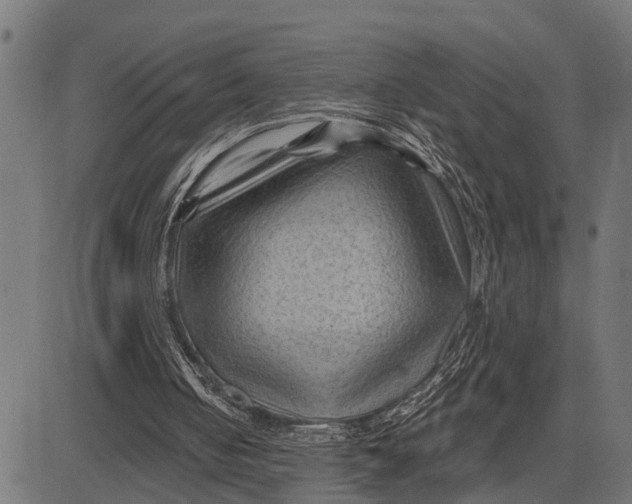 X0000081460050200702021817
