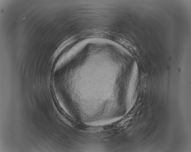 X0000081460051200702021817