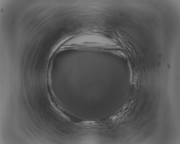 X0000081460052200702021817