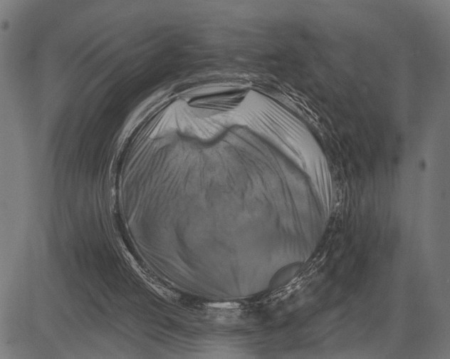 X0000081460053200702021817
