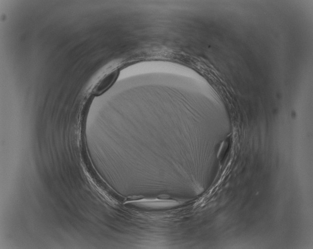X0000081460054200702021817