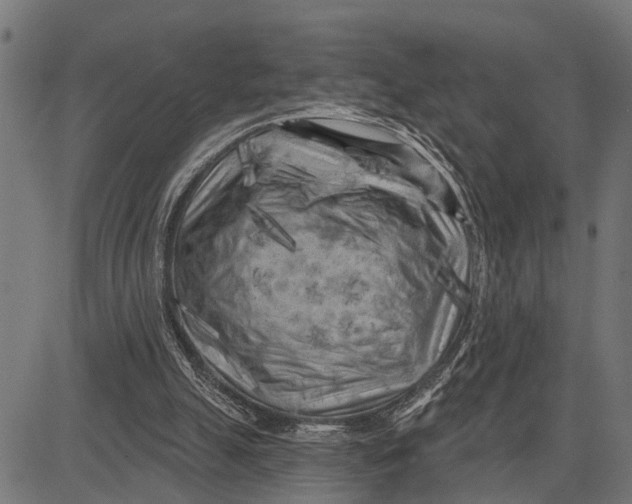 X0000081460055200702021817