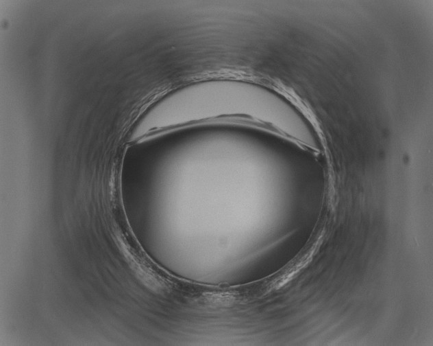 X0000081460057200702021817