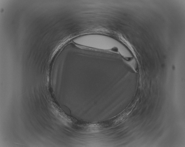 X0000081460059200702021818