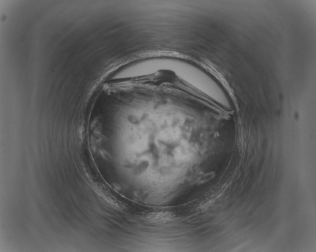 X0000081460063200702021818