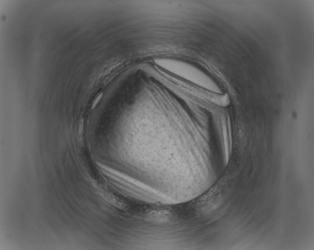 X0000081460066200702021818