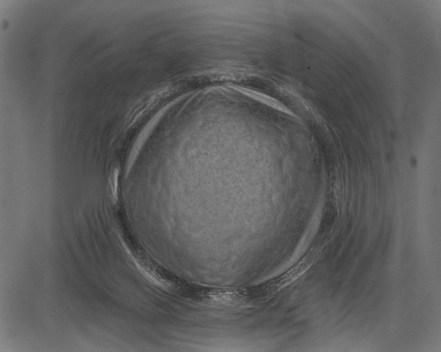 X0000081460070200702021818