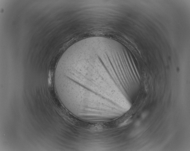 X0000081460075200702021818