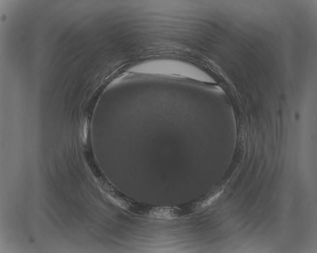X0000081460076200702021818
