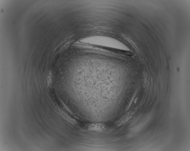 X0000081460077200702021818