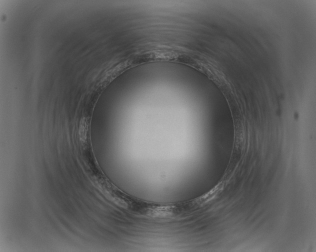 X0000081460078200702021818