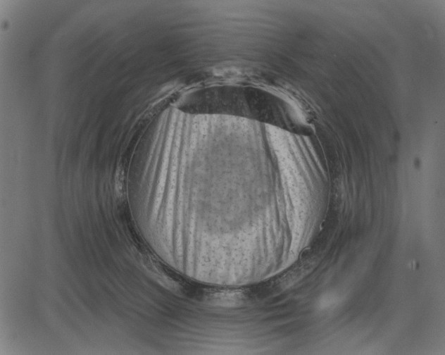 X0000081460081200702021818