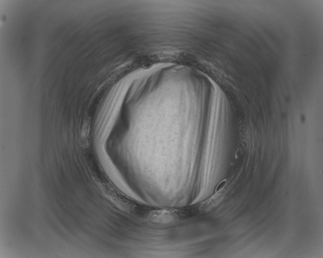 X0000081460082200702021818