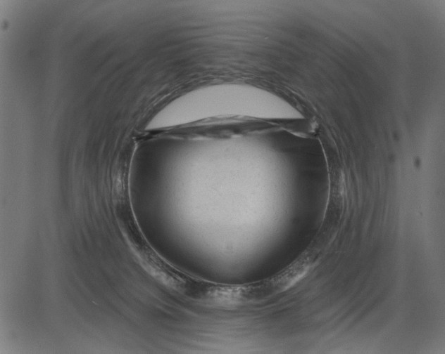 X0000081460084200702021818