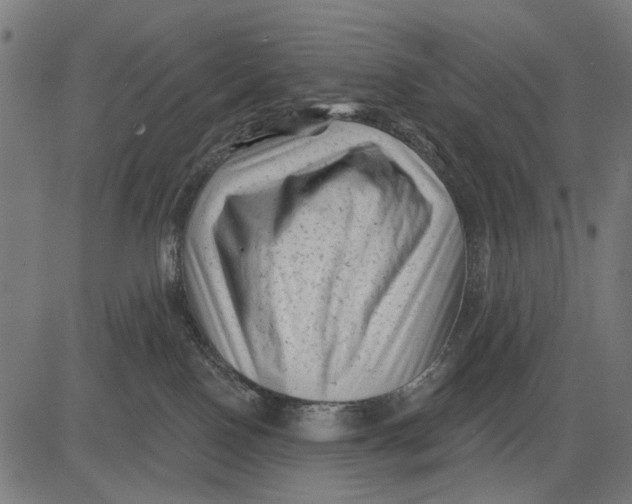 X0000081460090200702021818