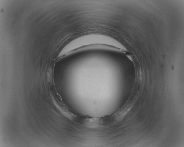 X0000081460092200702021818