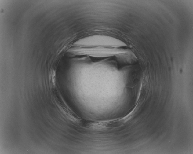 X0000081460094200702021818