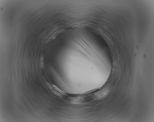 X0000081460096200702021818