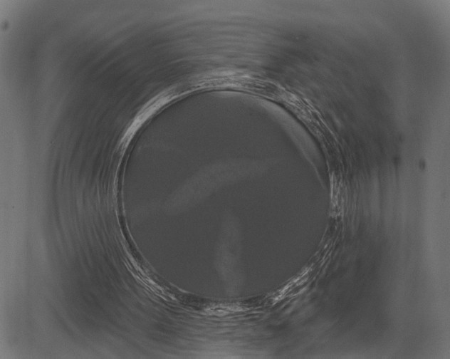 X0000081460099200702021817