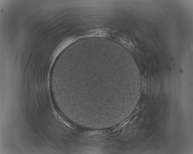 X0000081460100200702021817