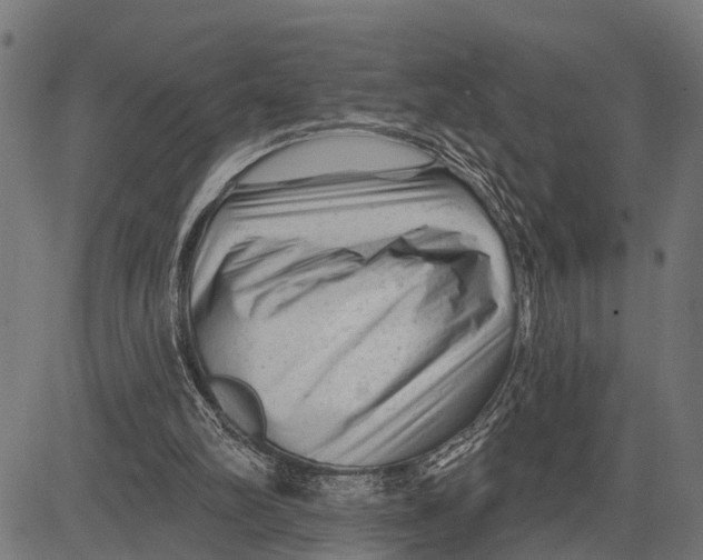 X0000081460102200702021817