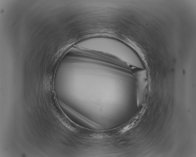X0000081460105200702021817