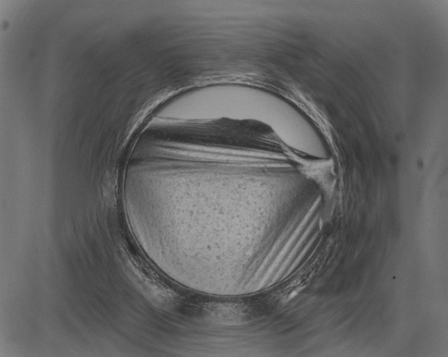 X0000081460107200702021817