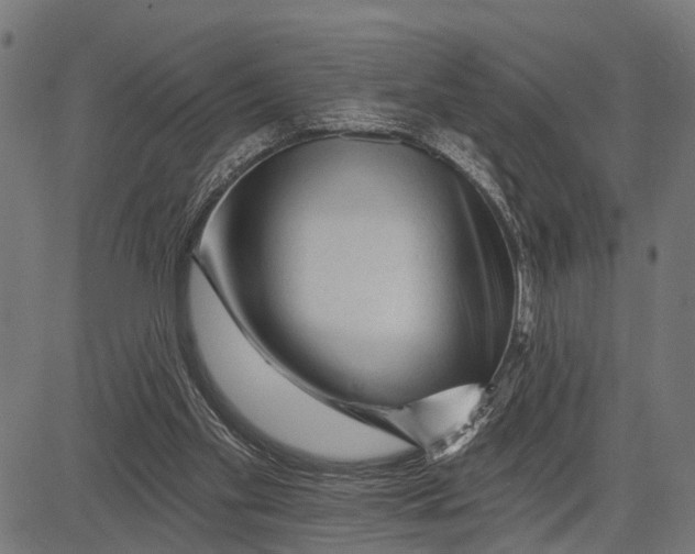 X0000081460109200702021817