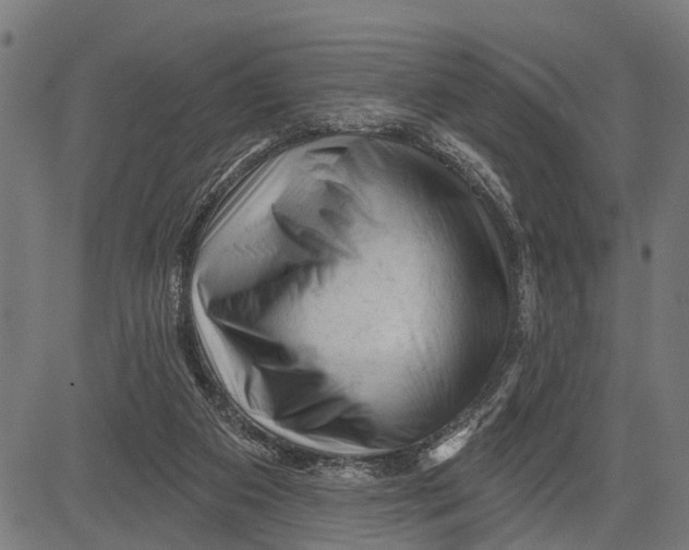 X0000081460113200702021817