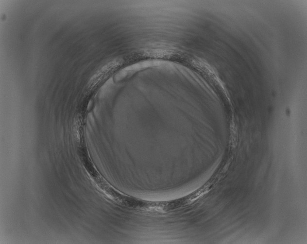 X0000081460114200702021817