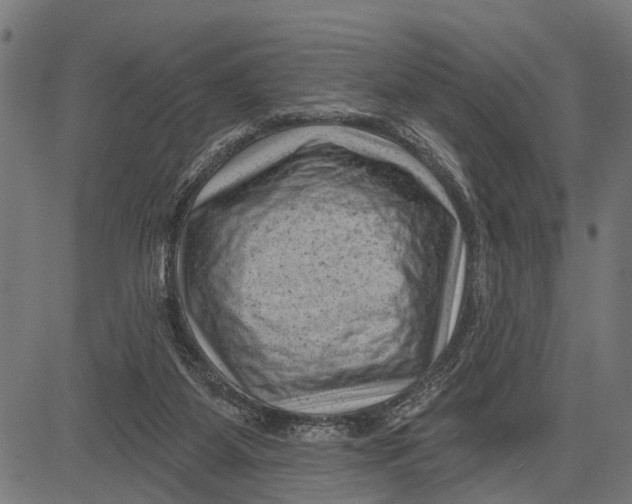 X0000081460115200702021817
