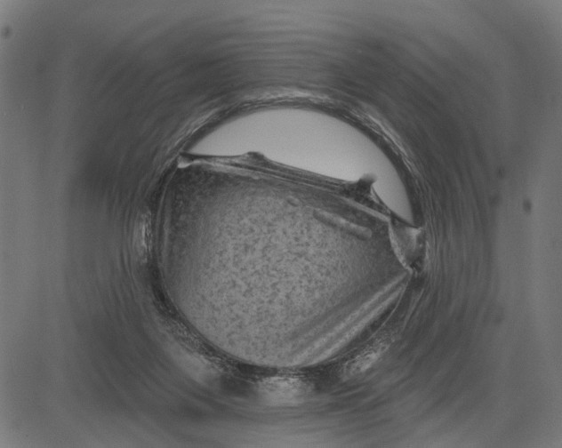 X0000081460119200702021817
