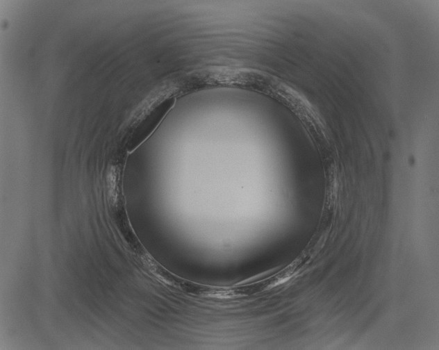 X0000081460121200702021817
