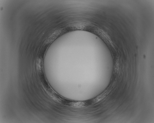 X0000081460122200702021817