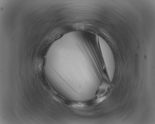 X0000081460125200702021817