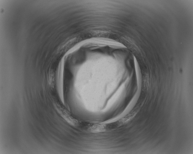 X0000081460138200702021817