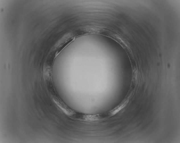 X0000081460141200702021817